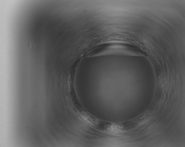 X0000072940223200607282212