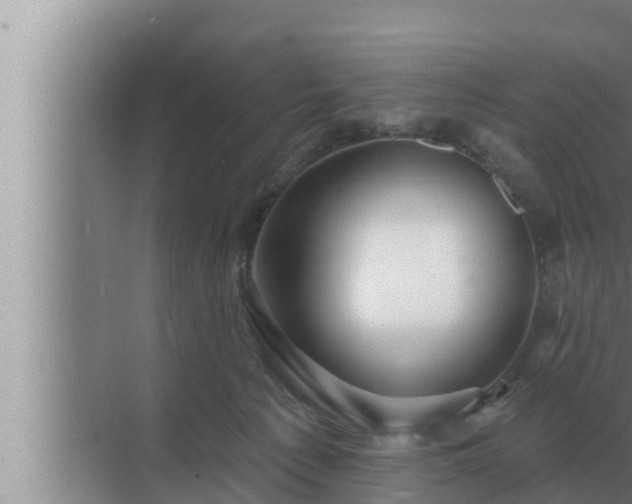 X0000072940225200607282211