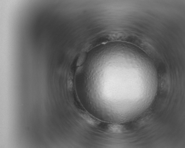 X0000072940226200607282211