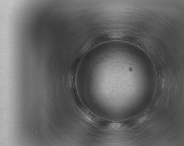 X0000072940227200607282211