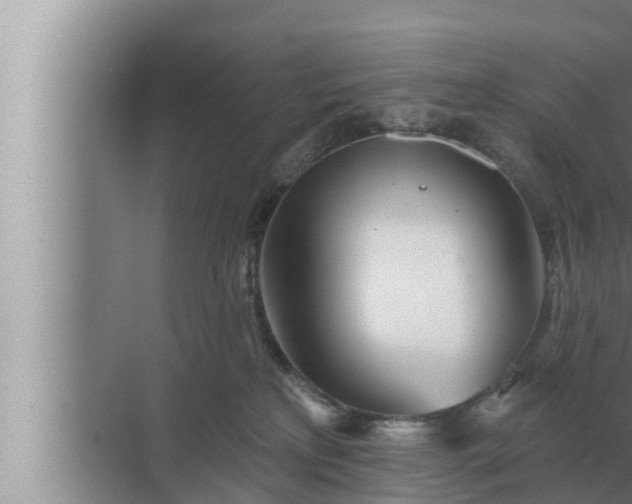 X0000072940233200607282211