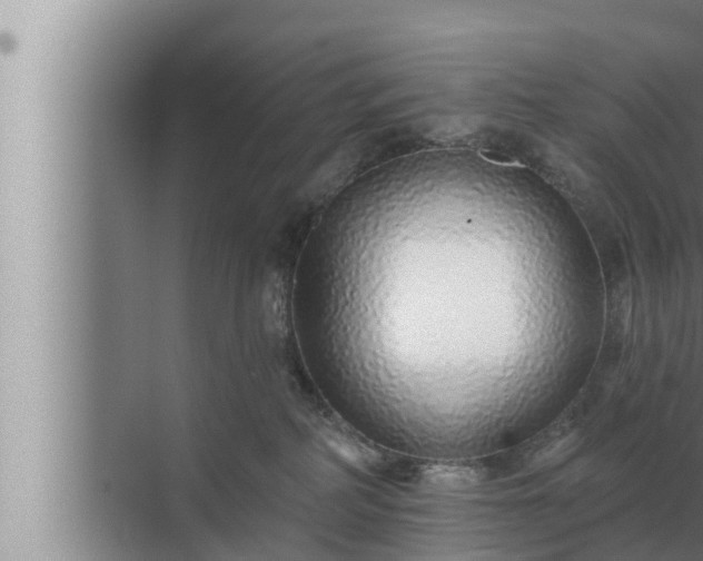 X0000072940234200607282211