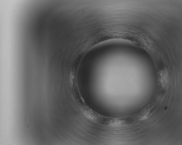 X0000072940235200607282211