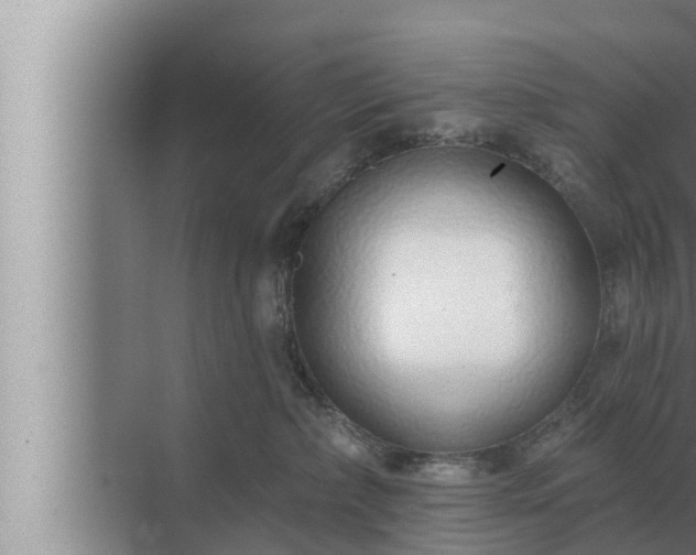 X0000072940236200607282211