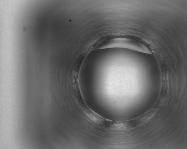 X0000072940237200607282211