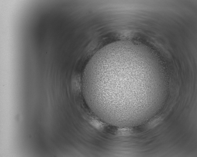 X0000072940240200607282211