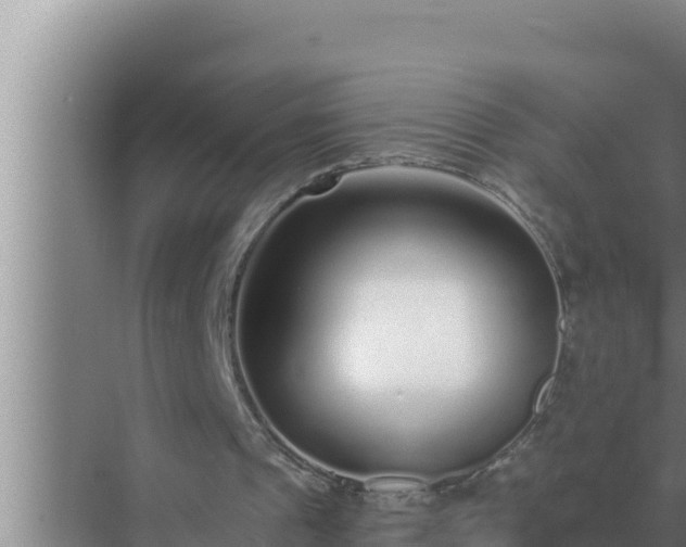 X0000072940241200607282210