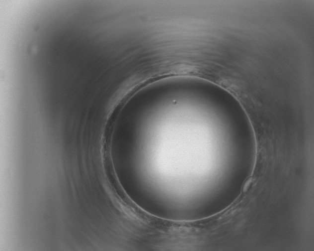 X0000072940242200607282210