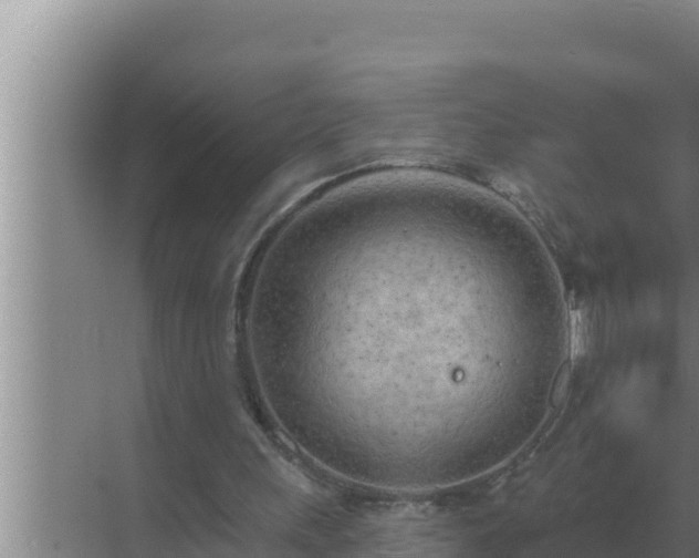 X0000072940243200607282210