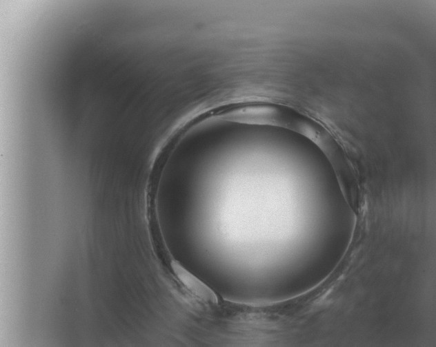 X0000072940244200607282210