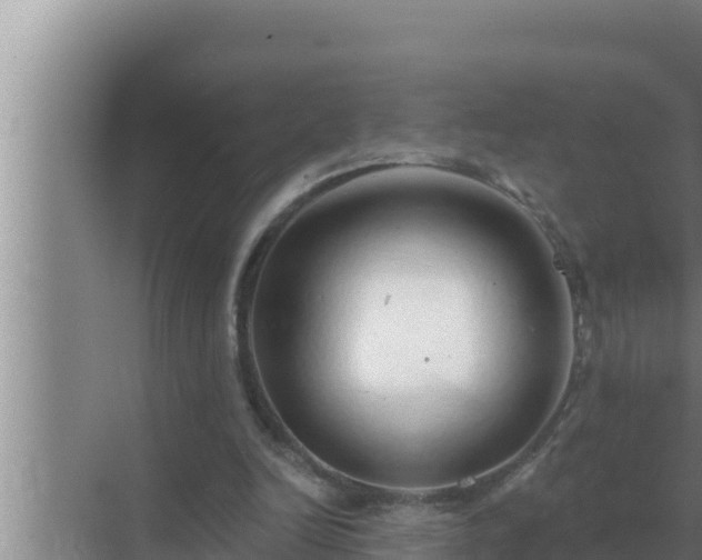 X0000072940246200607282210