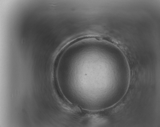 X0000072940247200607282211