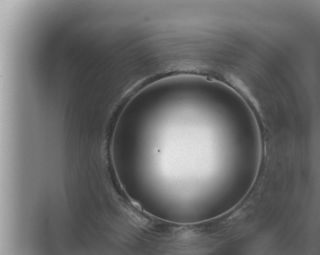 X0000072940249200607282211