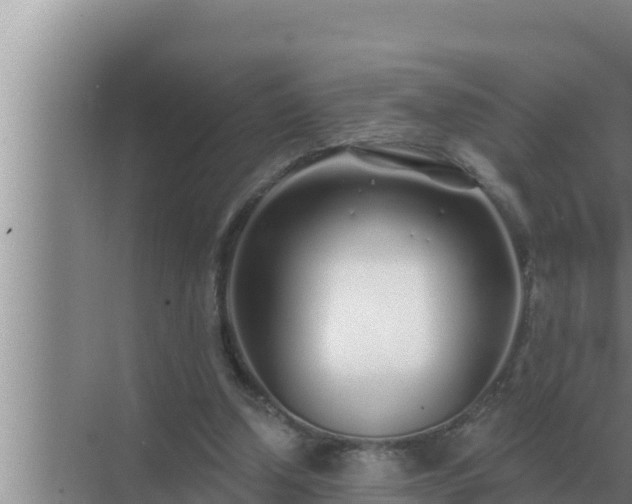 X0000072940250200607282211