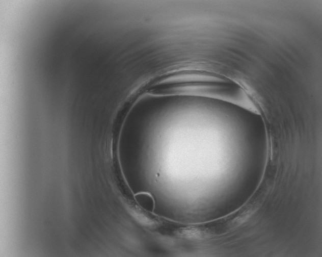 X0000072940253200607282211