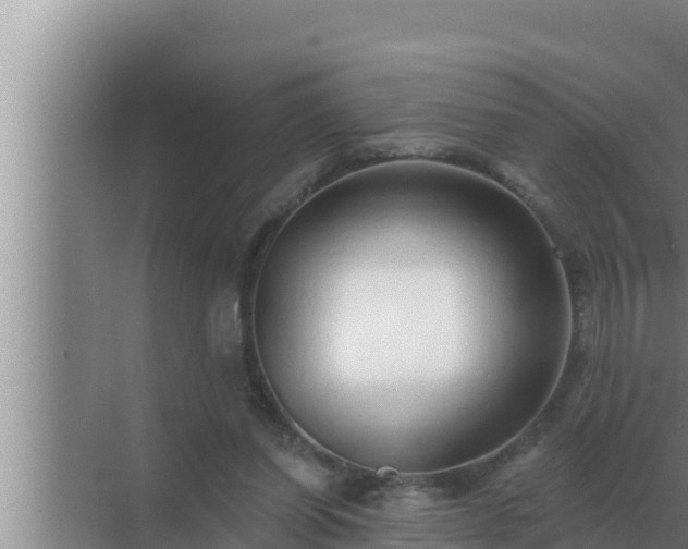 X0000072940254200607282211