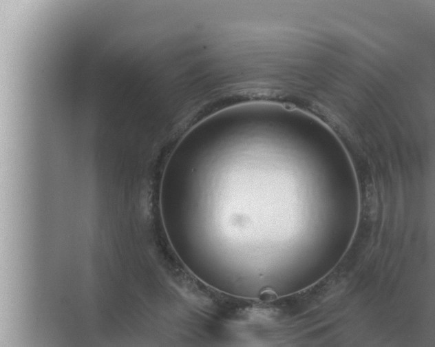 X0000072940255200607282211