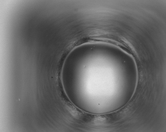 X0000072940257200607282211