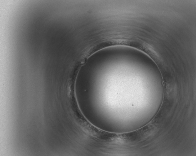 X0000072940259200607282211