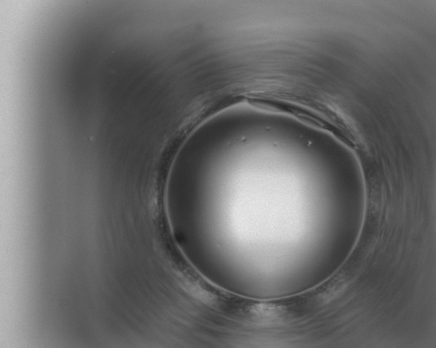 X0000072940261200607282211