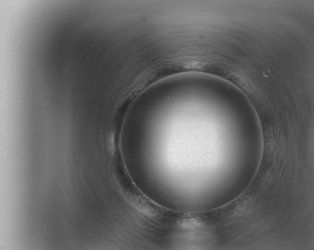 X0000072940262200607282211