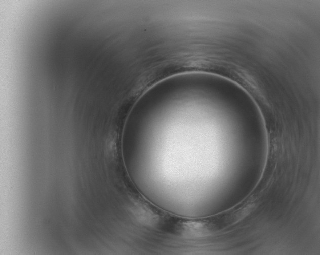 X0000072940265200607282211