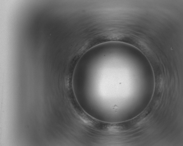 X0000072940268200607282211