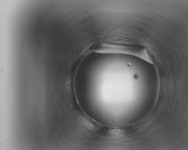 X0000072940269200607282211