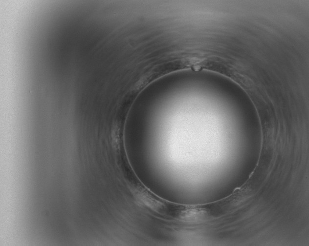 X0000072940274200607282211