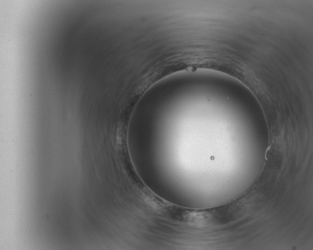 X0000072940277200607282211