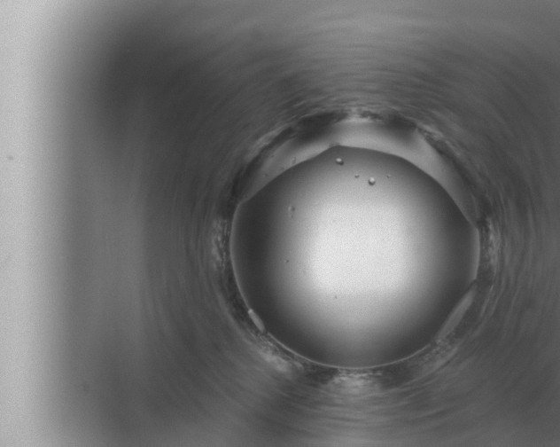 X0000072940280200607282211