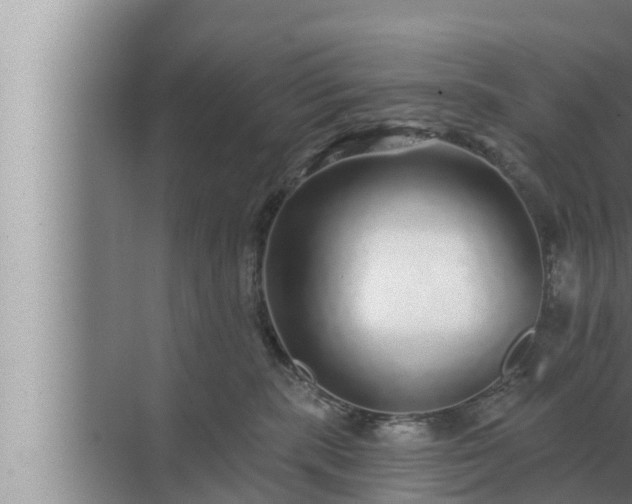 X0000072940283200607282211