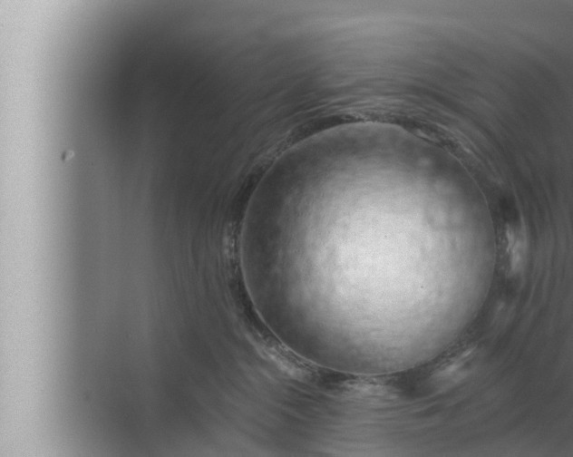 X0000072940284200607282211