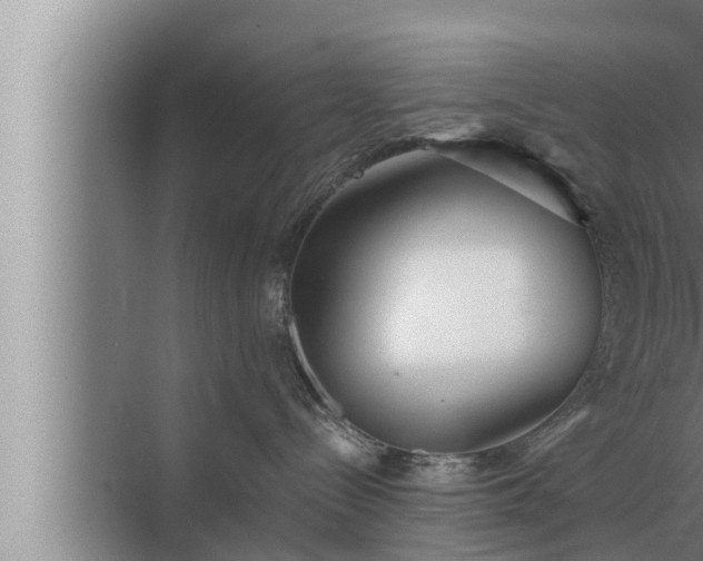 X0000072940288200607282211