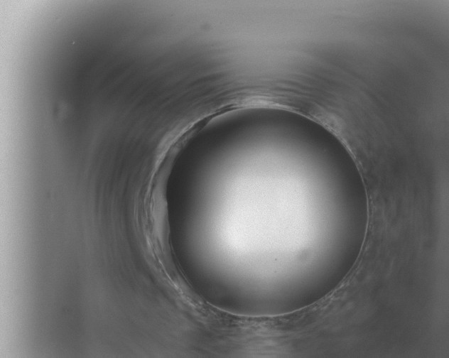 X0000072940289200607282210