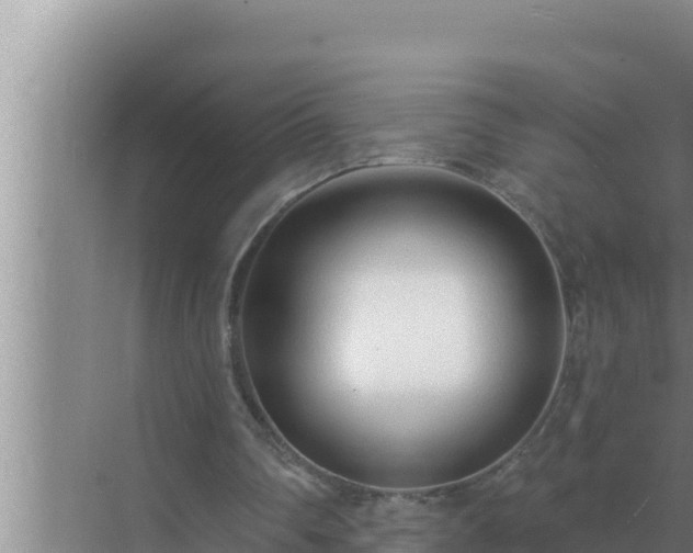 X0000072940290200607282210