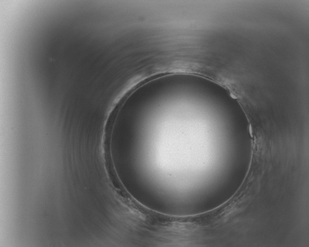 X0000072940292200607282210