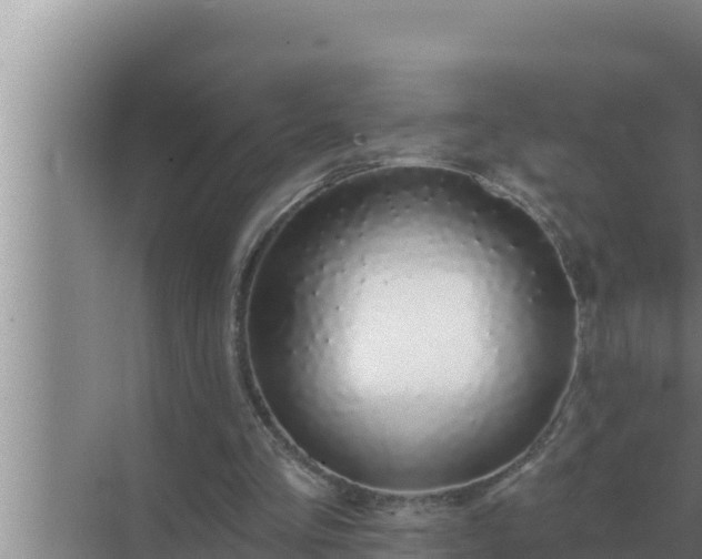 X0000072940293200607282210