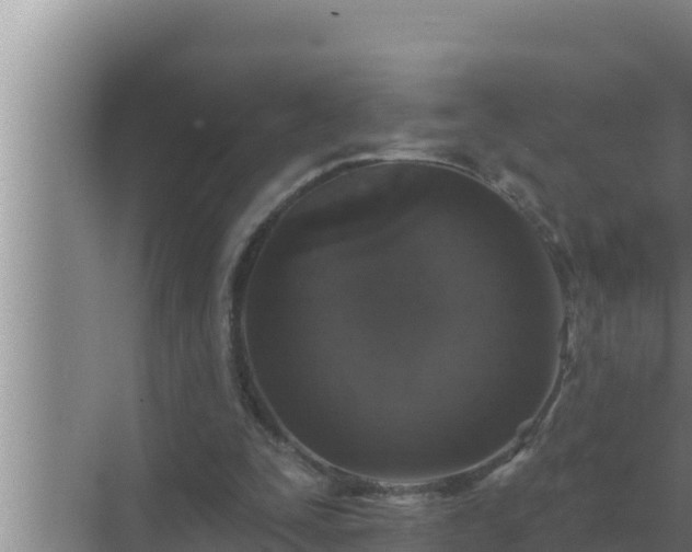 X0000072940295200607282210