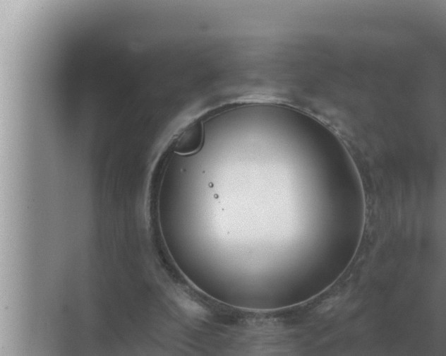 X0000072940296200607282210