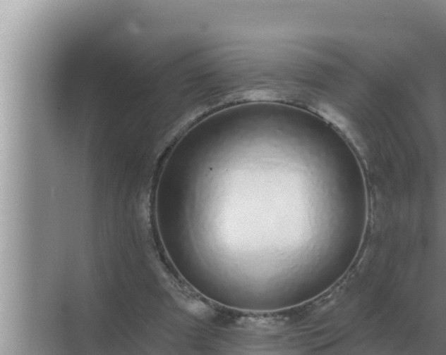 X0000072940297200607282210