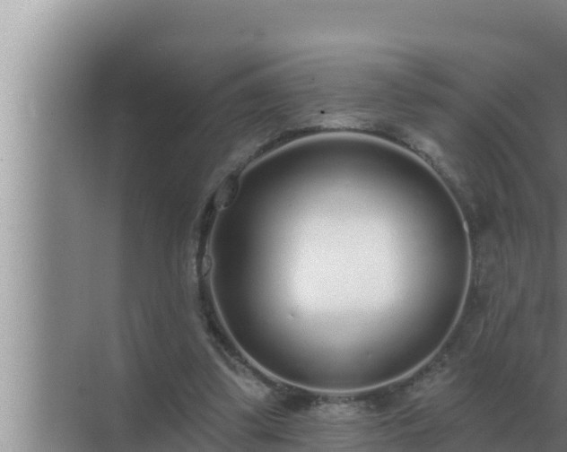 X0000072940299200607282210