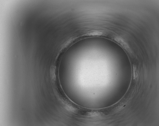 X0000072940300200607282210