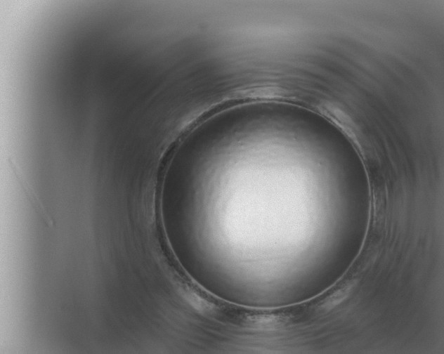 X0000072940301200607282210