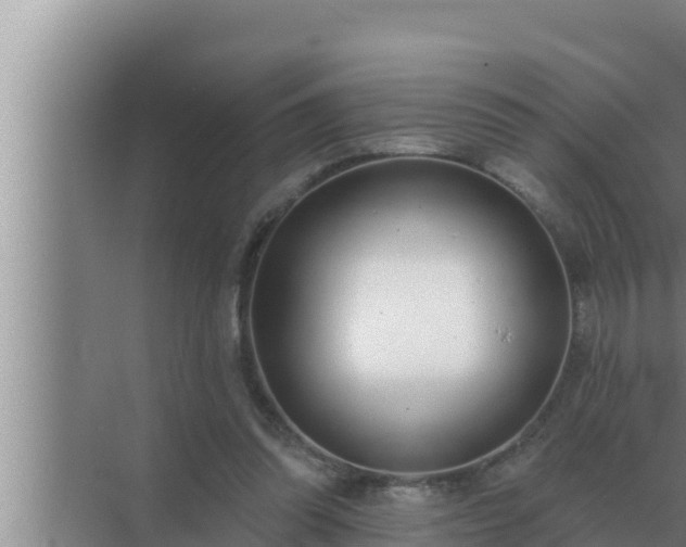 X0000072940302200607282210