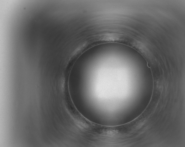 X0000072940304200607282210