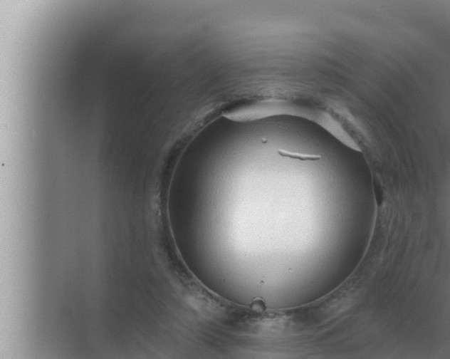 X0000072940306200607282210