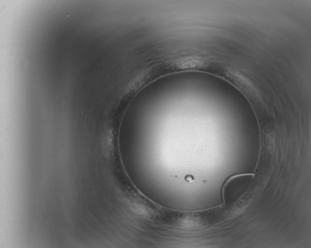 X0000072940308200607282210