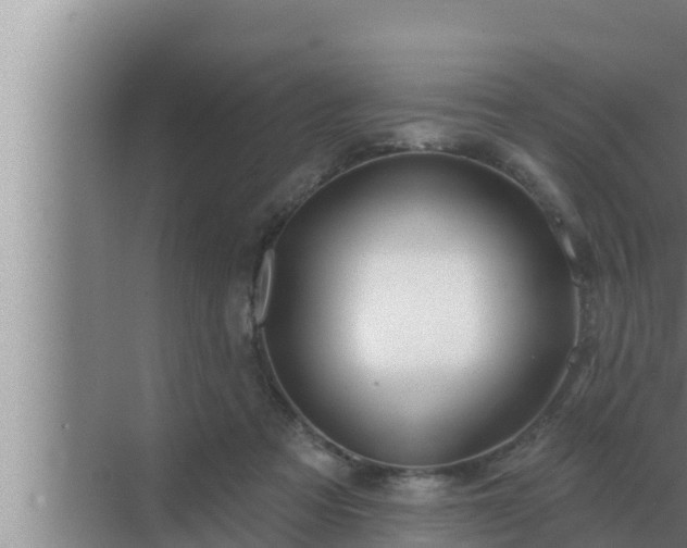 X0000072940313200607282210