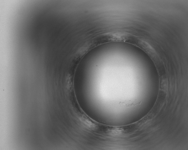 X0000072940318200607282210